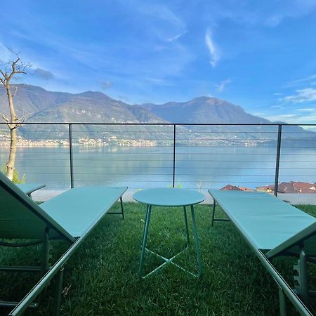 Il Noce Lake View Apartment Lezzeno Exteriör bild