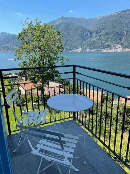 Il Noce Lake View Apartment Lezzeno Exteriör bild