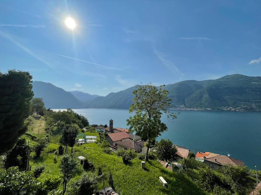 Il Noce Lake View Apartment Lezzeno Exteriör bild